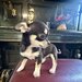 Pui Chihuahua